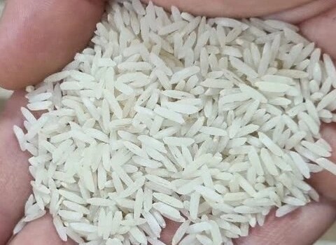 قیمت خرید برنج نعمتی صادراتی کرج + فروش ویژه